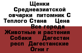 Щенки Среднеазиатской овчарки (питомник С Теплого Стана) › Цена ­ 20 000 - Все города Животные и растения » Собаки   . Дагестан респ.,Дагестанские Огни г.